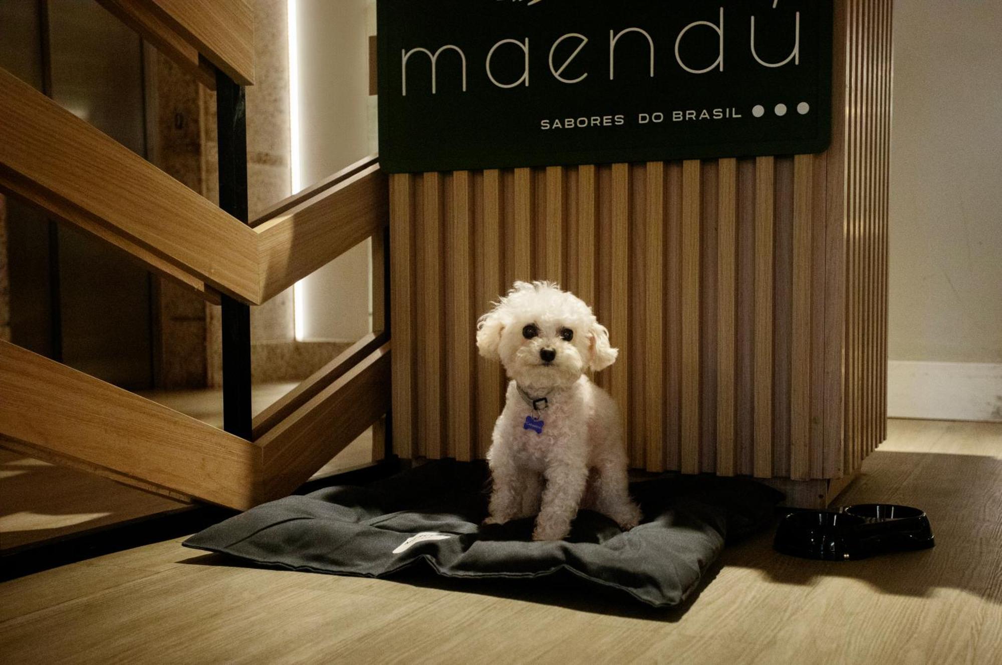 Mercure Maceio Pajucara Eksteriør billede